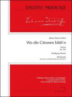 Wo die Citronen blüh'n - Walzer op. 364 
