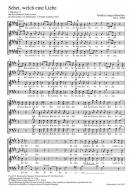 Sehet, welch eine Liebe 