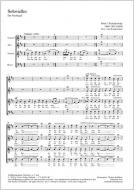 Solovusko (Die Nachtigall) 