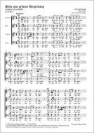 Vybehla bríza (Birke am grünen Bergeshang) 