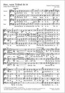 Herr, wenn Trübsal da ist 