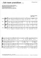 Sub tuum praesidium (I) 