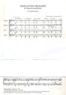 Nachts auf dem Sternenfeld 