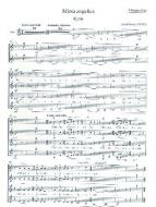 Missa angelica für Frauenchor und Orchester 