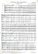 Frohlocke, Zion, dein Erlöser 