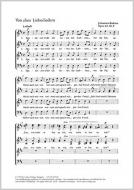 Von alten Liebesliedern; In stiller Nacht 