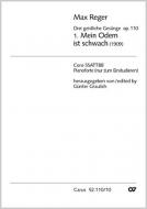 Mein Odem ist schwach 