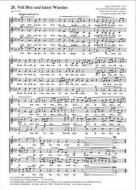 Voll Blut und lauter Wunden 