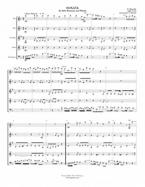 Sonata For Bassoon And Winds 