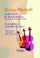 Concerto Piccolo 