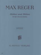 Blätter und Blüten 