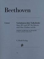 Variierte Themen op. 105, 107 