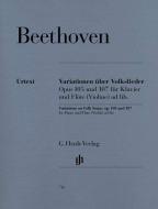 Variierte Themen op. 105, 107 