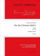 Wo die Citronen blüh'n - Walzer op. 364 