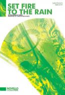 Set Fire To The Rain 