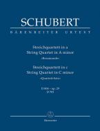 Quartett A-Moll Op. 29 D 804 (Rosamunde) 