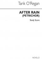 After Rain (Petrichor) 