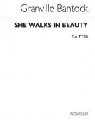 She Walks In Beauty 