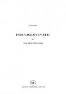 Underlige Aftenlugte 