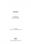 Aften 