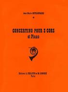 Concertino pour l'agrément 