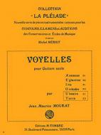 Voyelles U et Y 