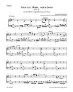 Lobe den Herrn, meine Seele 