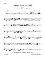 Lobe den Herrn, meine Seele 