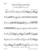 Lobe den Herrn, meine Seele 