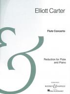 Flute Concerto 