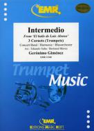 Intermedio Standard