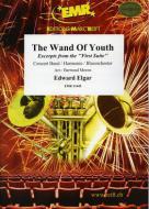 The Wand Of Youth Standard