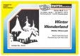 Winter Wonderland (Weißer Winterwald) 