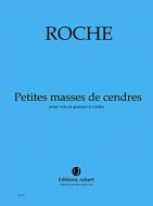 Petites masses de cendres 