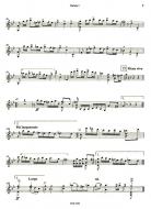 Antiche Danze ed Arie Nr. 3 