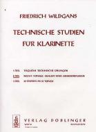 Nichttonale Skalen- und Akkordstudien 