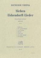 Sieben Eichendorff-Lieder op. 45 