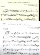 Konzert für Flöte und Streichorchester 