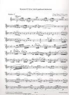 Konzert für Fagott und Orchester 