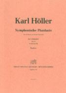 Symphonische Phantasie für Orchester op. 20 