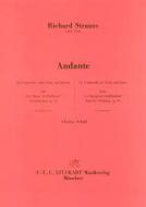 Andante aus 'Der Bürger als Edelmann' 