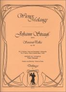 Souvenir-Polka op. 162 