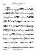 Sunshine and Shadows 