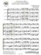 Carnavalito Quebradeno 