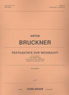 Festkantate zur Weihnacht - Ehre sei Gott 