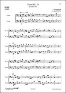 Duet No. 13 