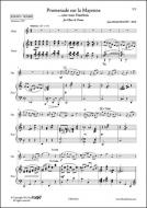 Promenade sur la Mayenne 