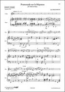 Promenade sur la Mayenne 