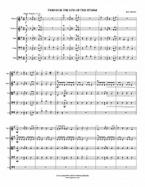 Through the Eye of the Storm 