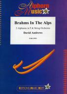 Brahms in the Alps Standard